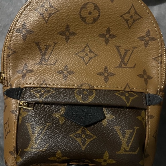 **SOLD** Louis Vuitton Reverse Palm Springs Mini - Picture 2 of 8